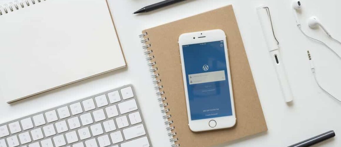 What is the easiest WordPress theme to customize?