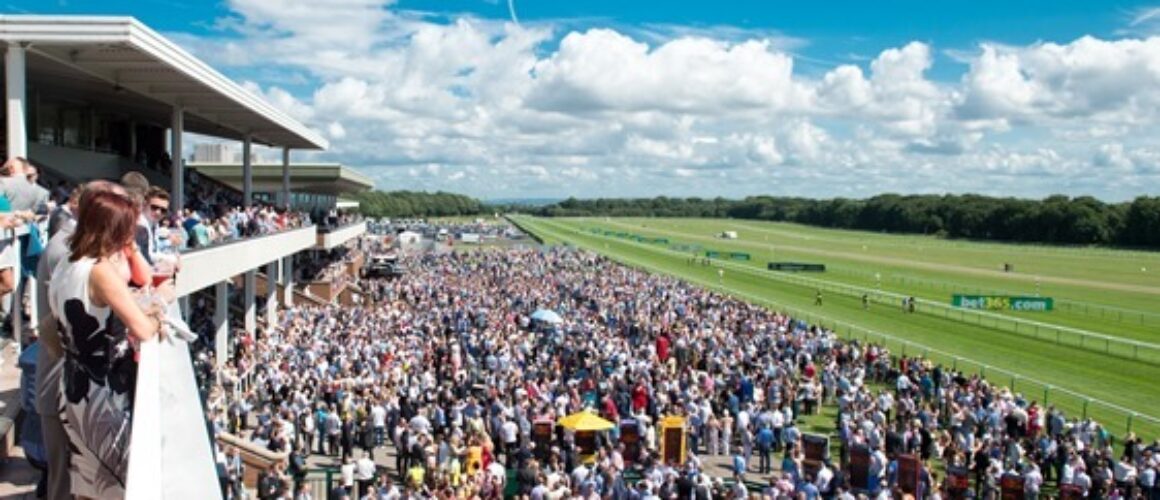 resize_Haydock
